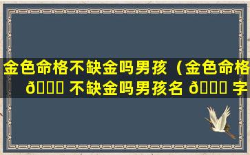 金色命格不缺金吗男孩（金色命格 🐞 不缺金吗男孩名 🕊 字）